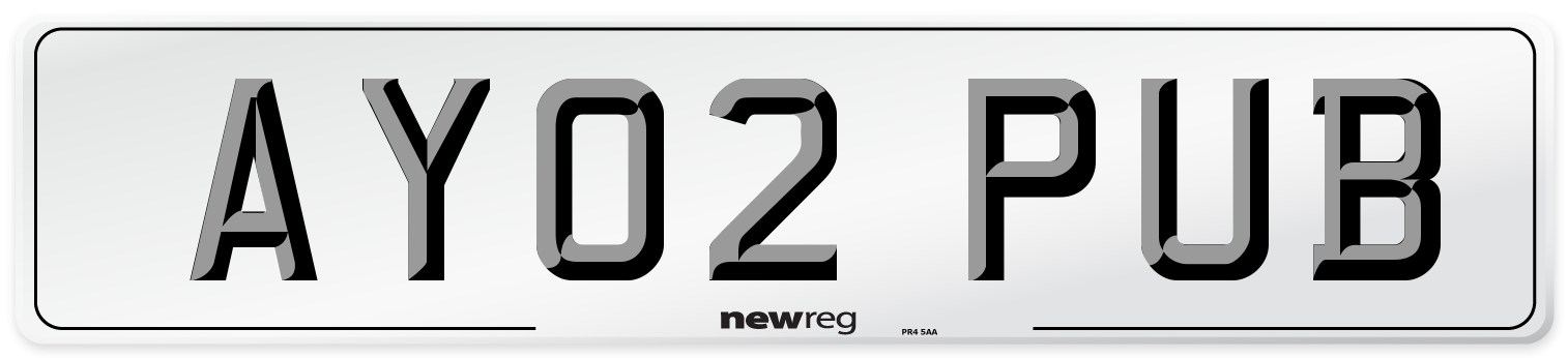 AY02 PUB Number Plate from New Reg